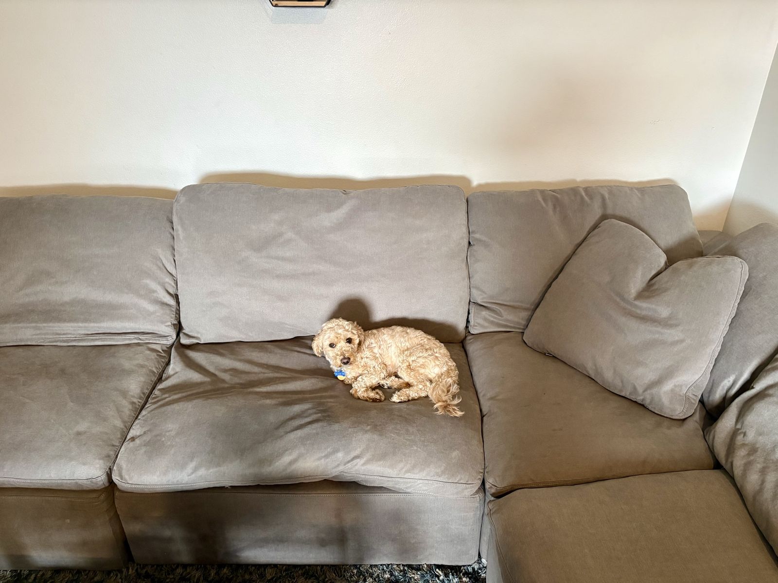 Downeast Basics - Feather Modular Sofa