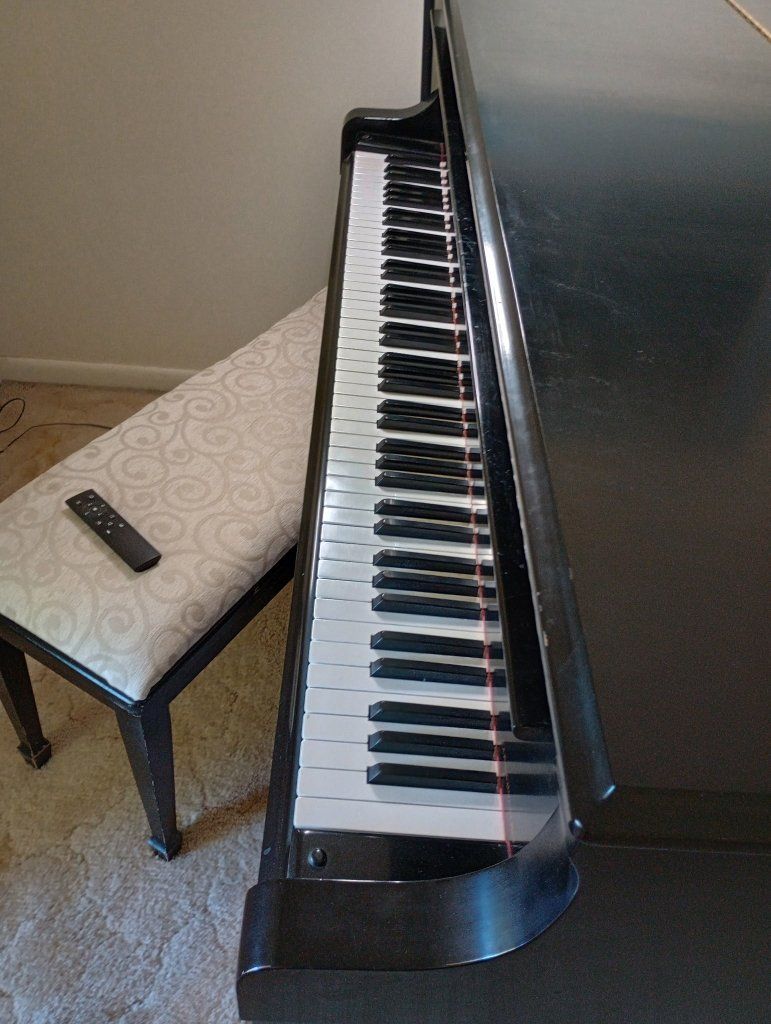 Main image 3
