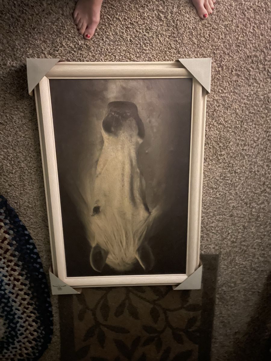 Main image 127