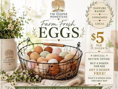 Farm Fresh Eggs – Local, Unwashed, Pasture Raised