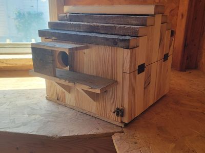 Squirrel houses for sale I build them to order like these ones or send me the one you like.$65 and up