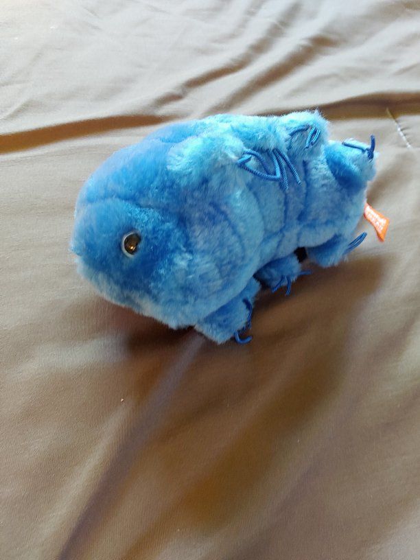 Giant Microbes Waterbear stuffed animal