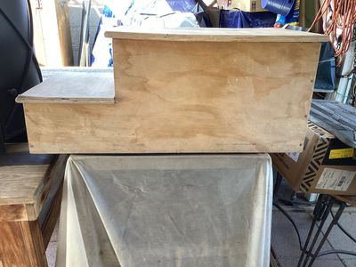 Doggie steps