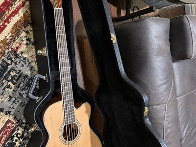 Ibanez 5 String Acoustic Bass with Hard Case