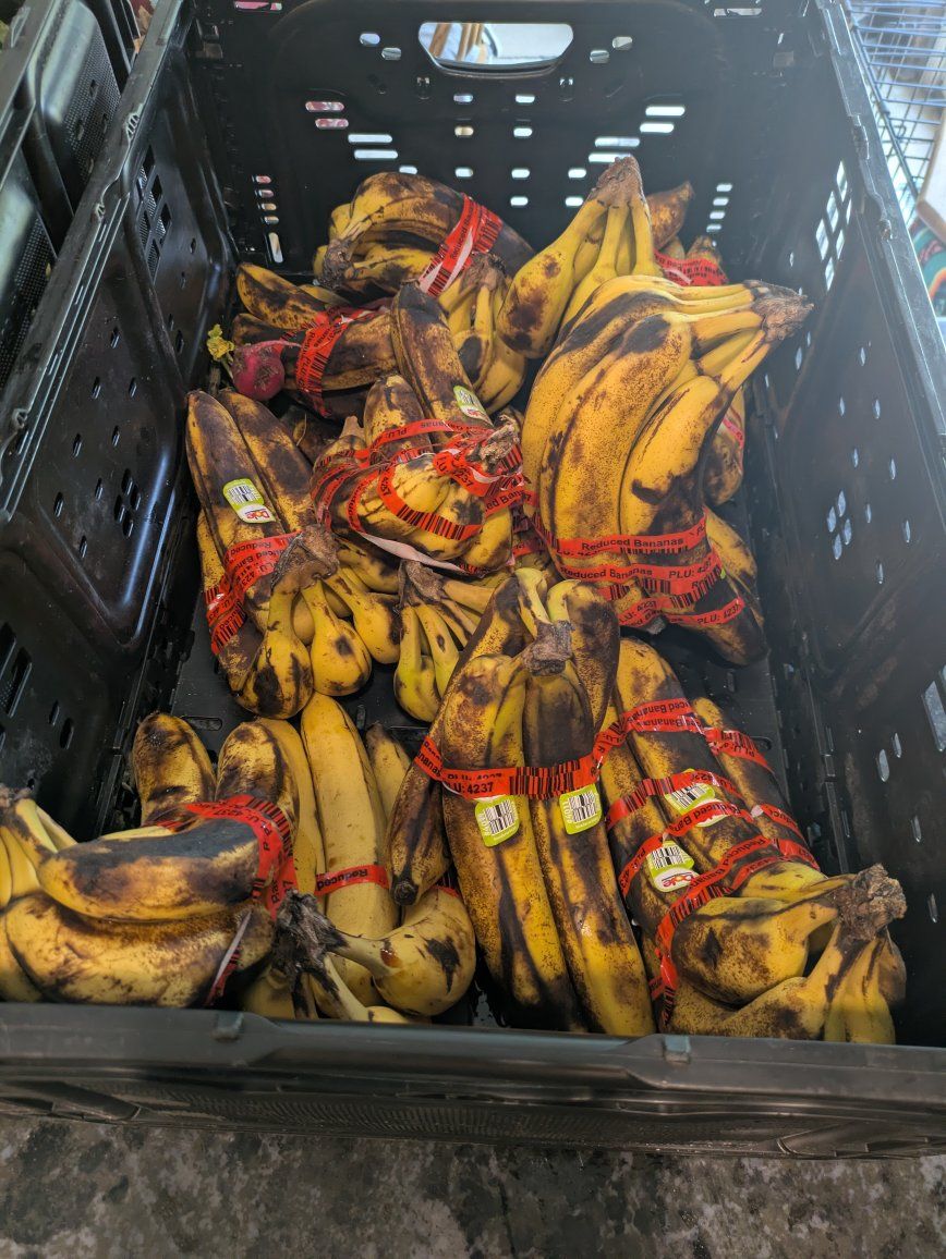 overripe bananas for making banana bread, and cabbage for animals
