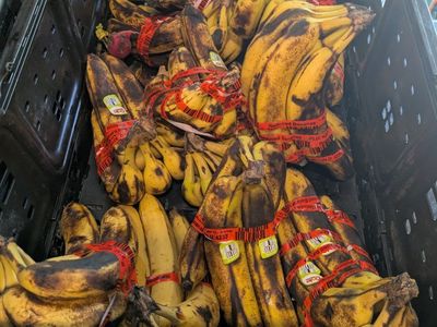 overripe bananas for making banana bread, and cabbage for animals