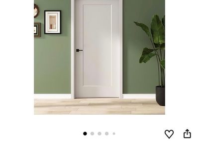 One panel White primed molded door slab
