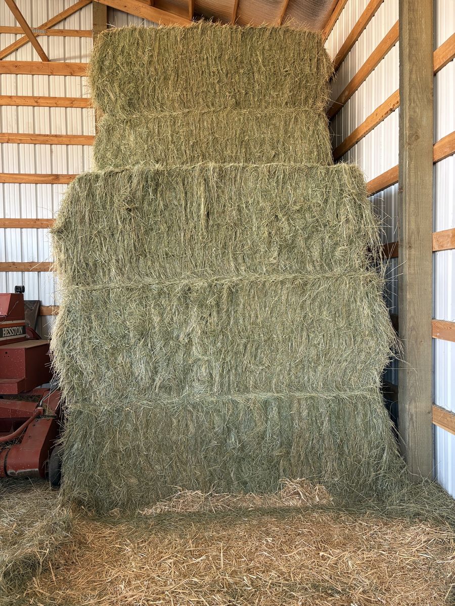 3x3 grass