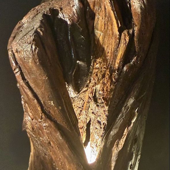 Unique Handcrafted Wood Lamp - Natural Driftwood Style Accent Lighting
