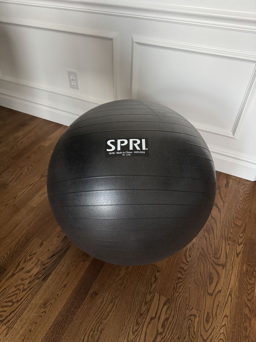 Anti-Burst Weighted Performance Ball XL 75cm
