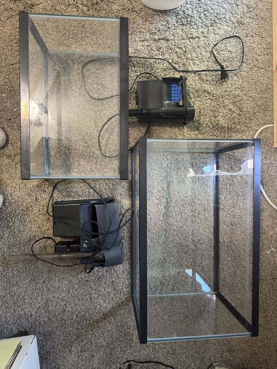 Fish tank and filters