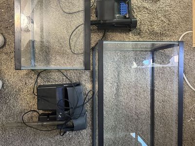 Fish tank and filters