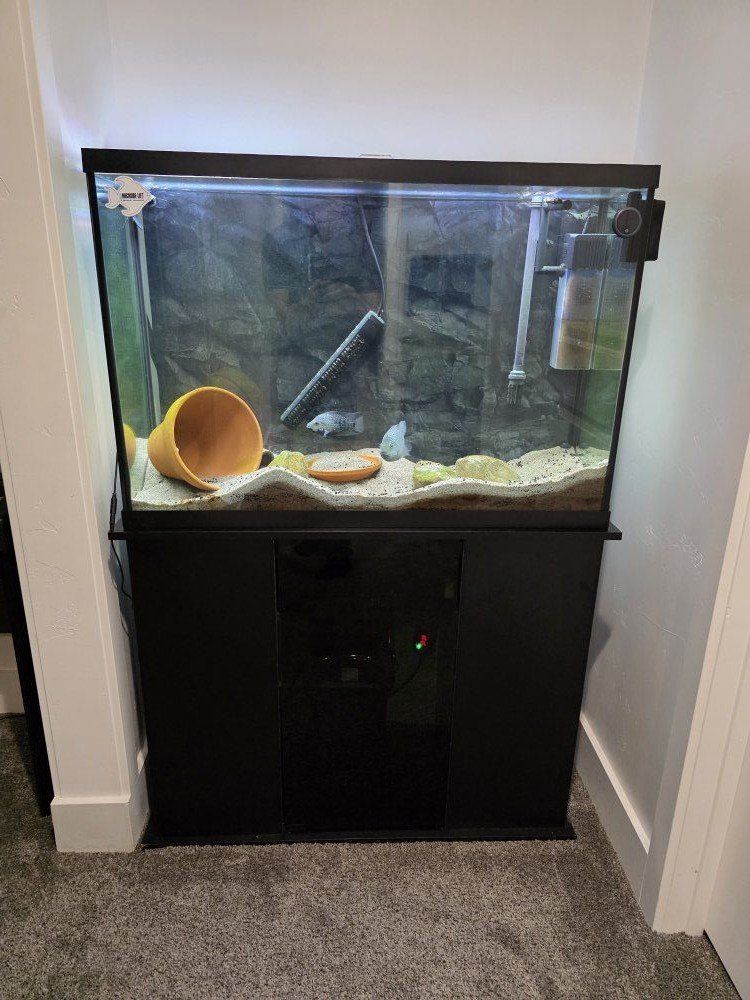 45g fish tank aquarium