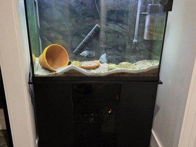 45g fish tank aquarium