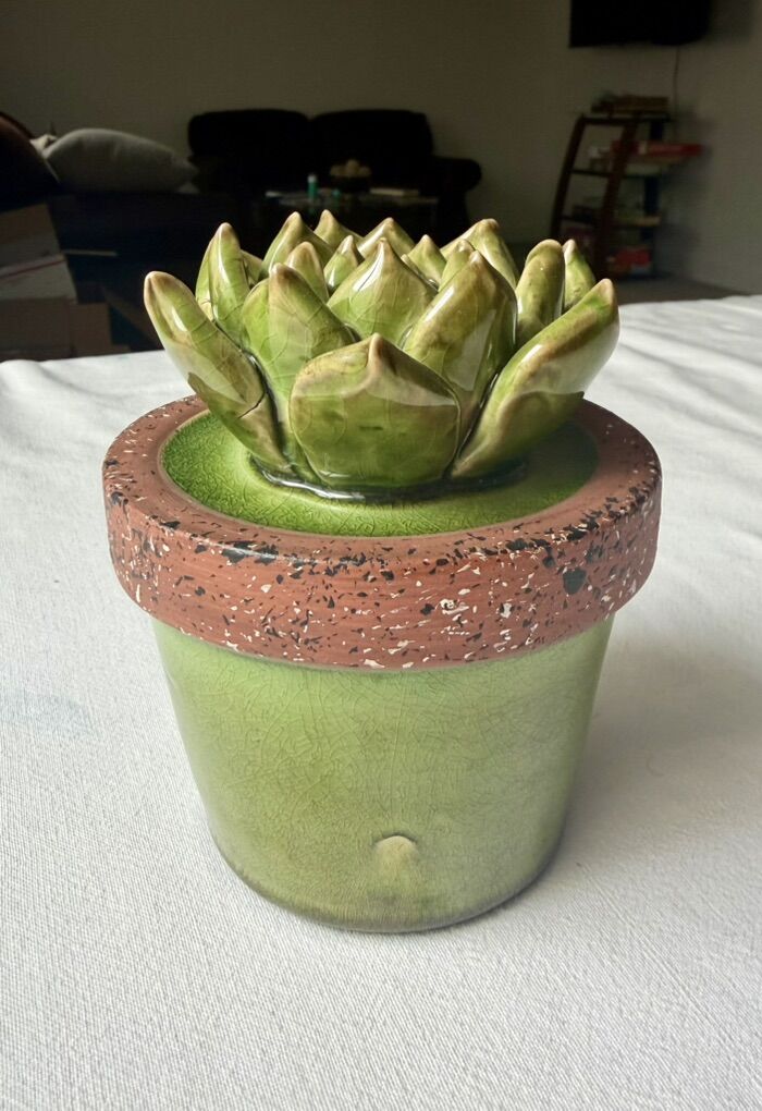 Ceramic Succulent Kitchen Garden Decor