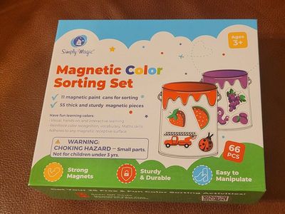 Magnetic color sorting set