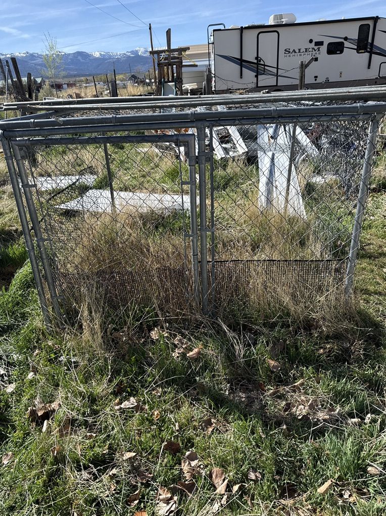 Chain Link Animal Run