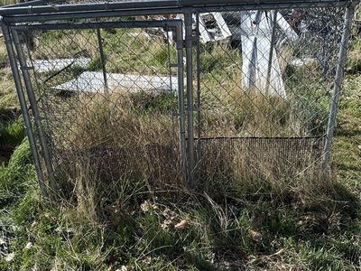 Chain Link Animal Run