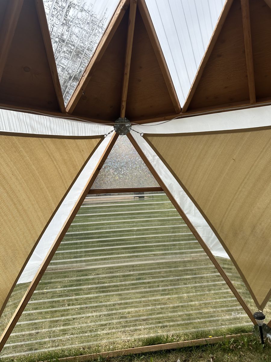 Main image 7