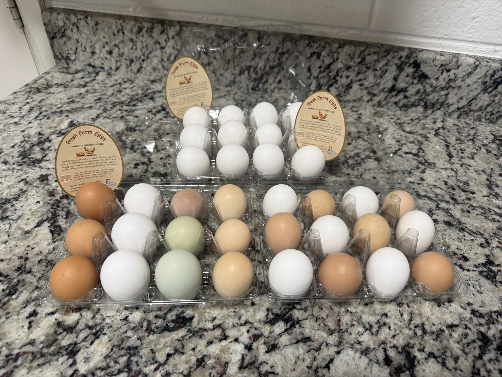 Farm Fresh Organic Eggs