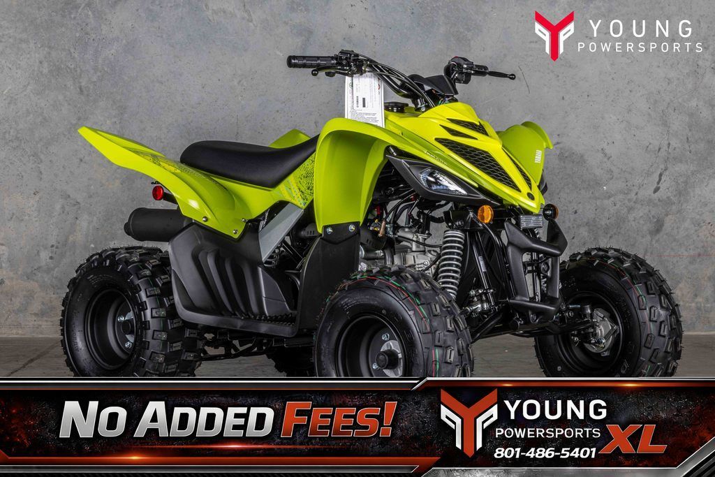 2026 Yamaha Raptor 110