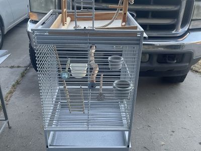 Bird cage