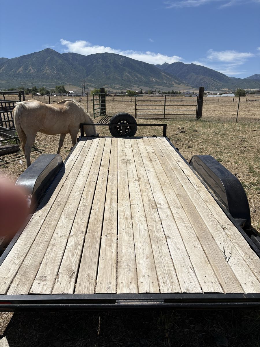 16’ Workhorse Flatbed Trailer