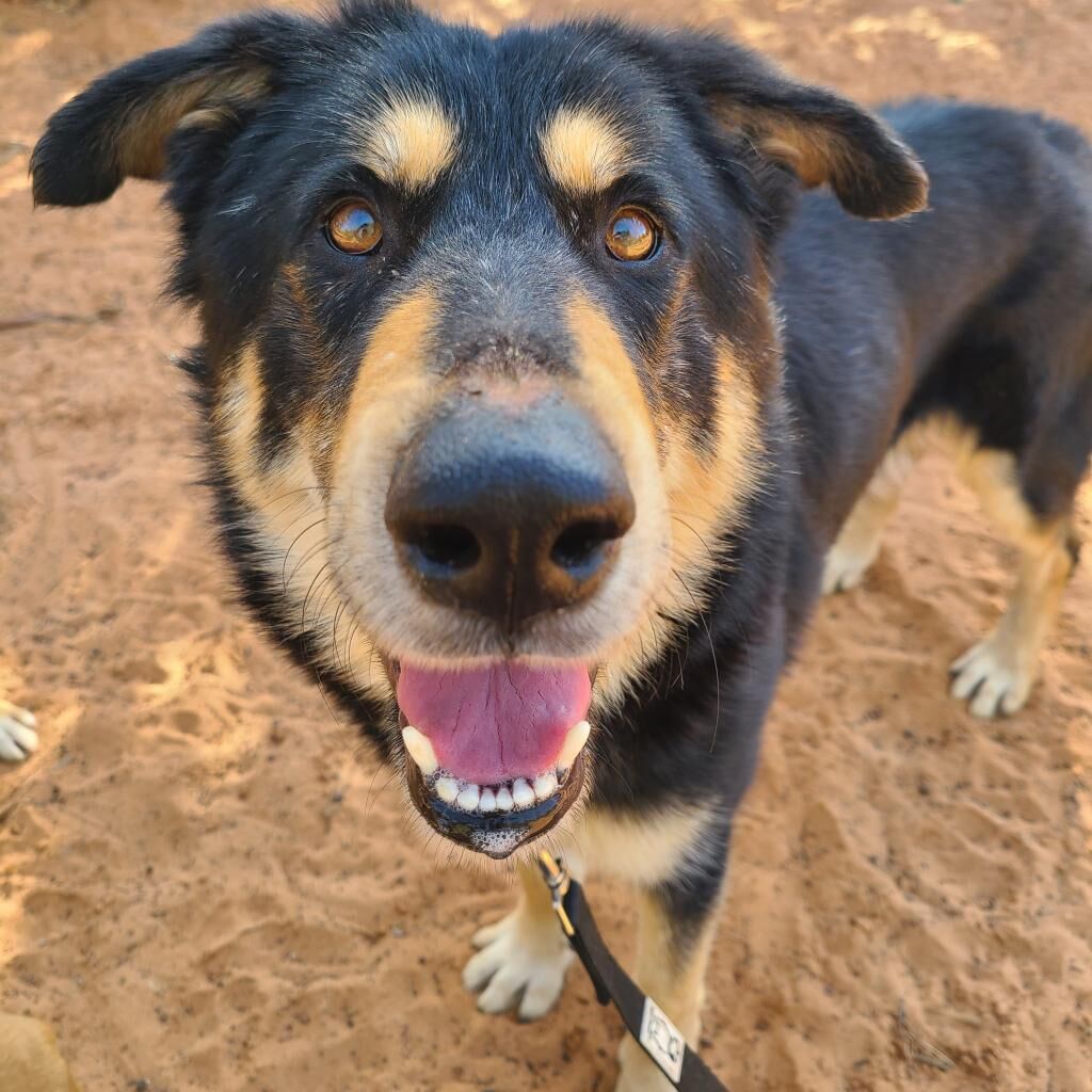 Hello my name is Gruyere