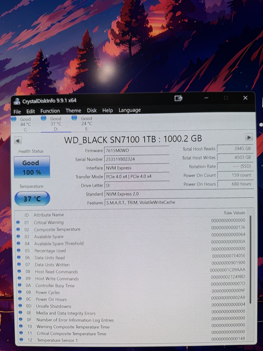 WD_BLACK SN7100 1TB NVMe PCIe 4.0 SSD - 100% Health Status