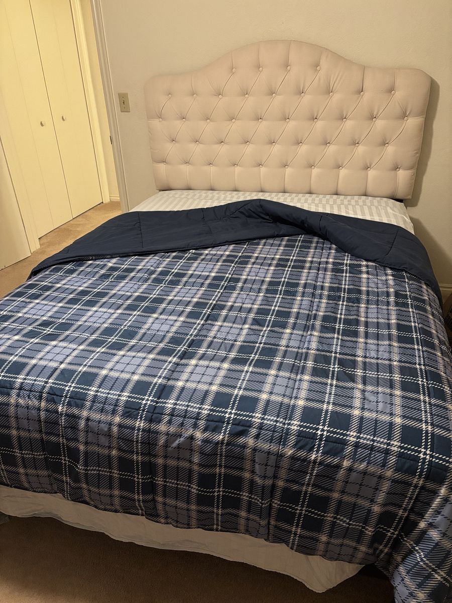 Tufted Upholstered Queen Headboard - Light Beige/Cream Arch Design, Excellent Condition